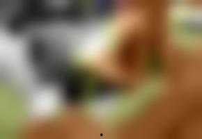 国产欧美538视频在线,一场视觉盛宴的精彩回顾