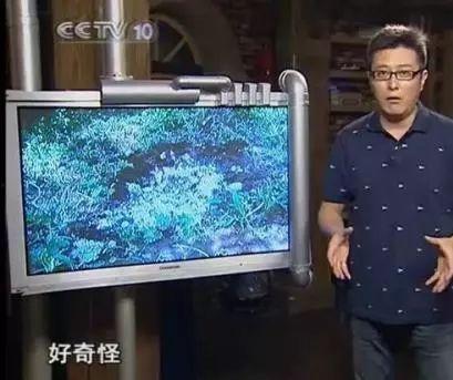 深夜国产手机福利视频,国产手机新机速览，精彩不容错过！