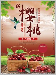 关于国产樱桃的宣传视频,鲜甜滋味，尽享丰收喜悦