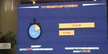 国产精成视频,匠心独运，光影交织的艺术之旅