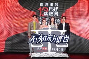 悬疑烧脑剧国产解说视频,国产解说视频中的惊心动魄推理之旅