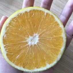 国产好姑娘橙子视频,国产好姑娘的青春魅力与成长故事