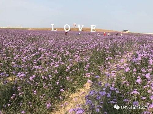 国产福利视频含羞草